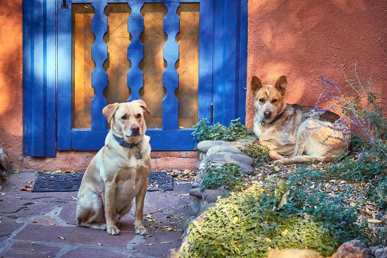 Adobe And Pines Inn Bed And Breakfast Taos Esterno foto